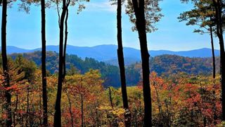 LOT 5 Gold Ridge Trail, Cherry Log, GA 30522