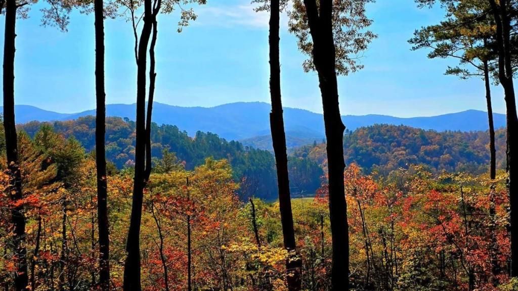 LOT 5 Gold Ridge Trail, Cherry Log, GA 30522