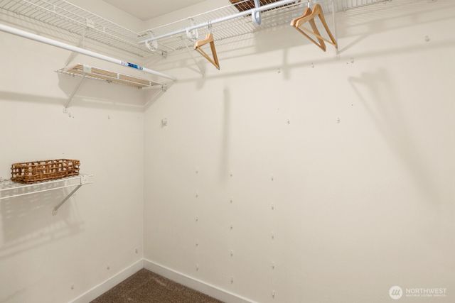 24341 SE 42nd Place, Issaquah, WA 98029