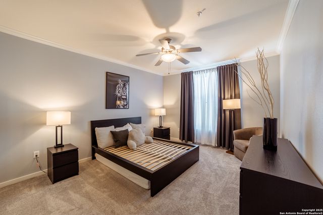 7342 Oak Manor Dr Apt 7202, San Antonio, TX 78229