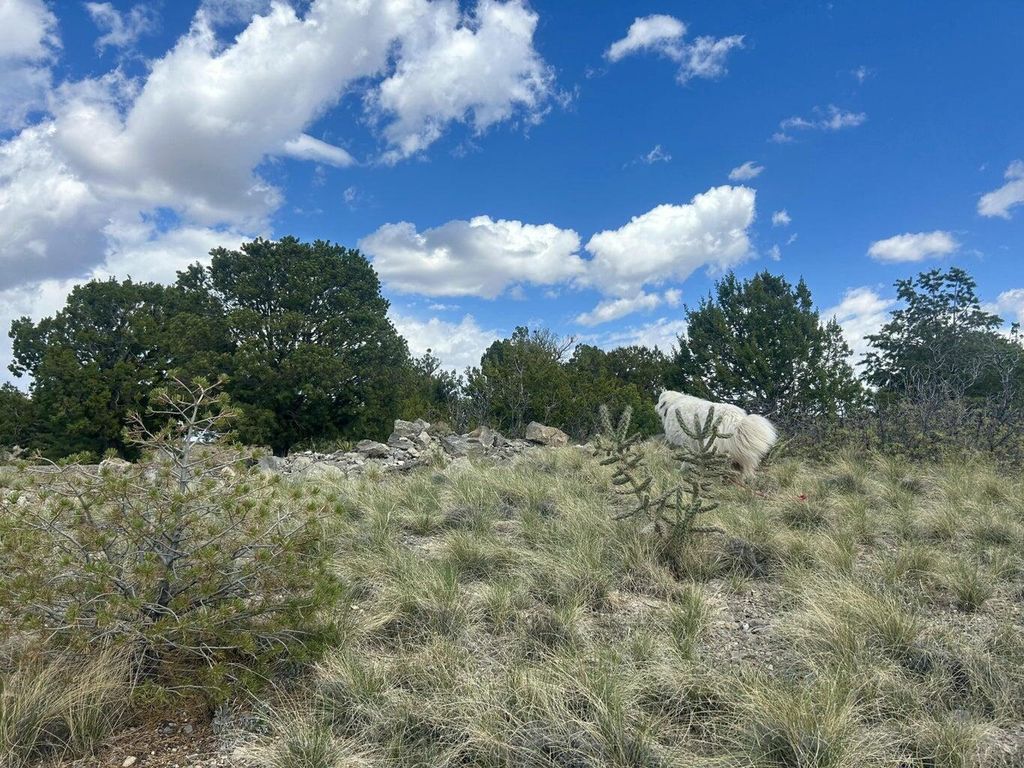 Image 13 of property listing at 36 PRADO Vista, Sandia Park, NM 87047