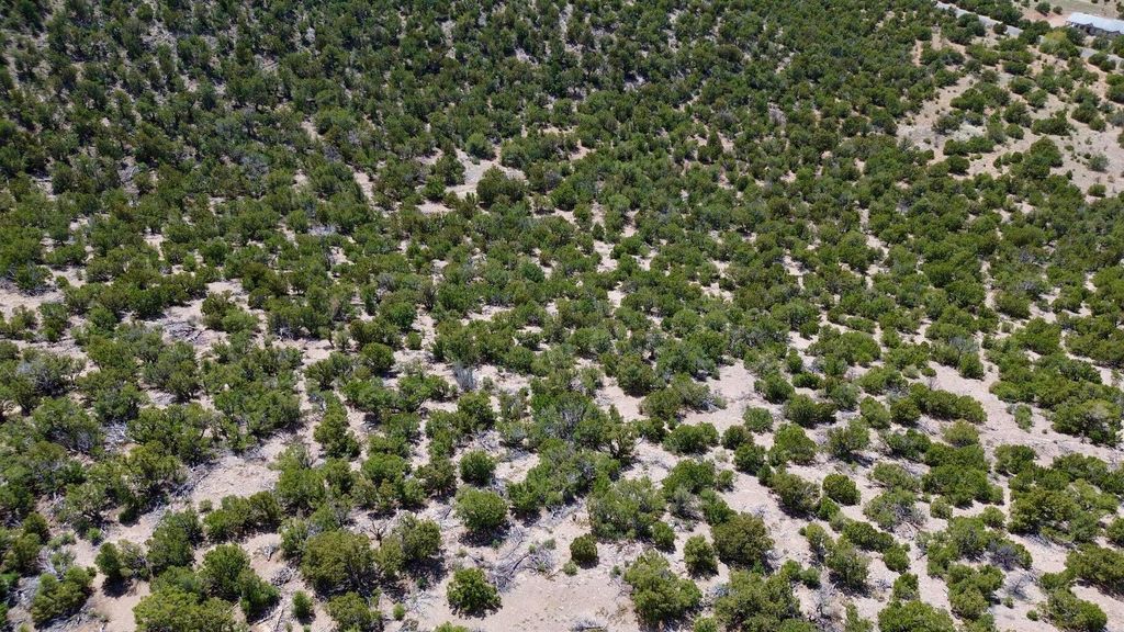 Image 7 of property listing at 36 PRADO Vista, Sandia Park, NM 87047