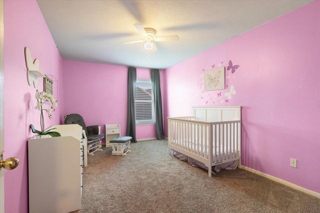 1202 Collier Point Lane, Fresno, TX 77545