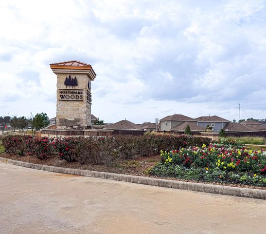 19623 Cat Spruce Court, Porter, TX 77365