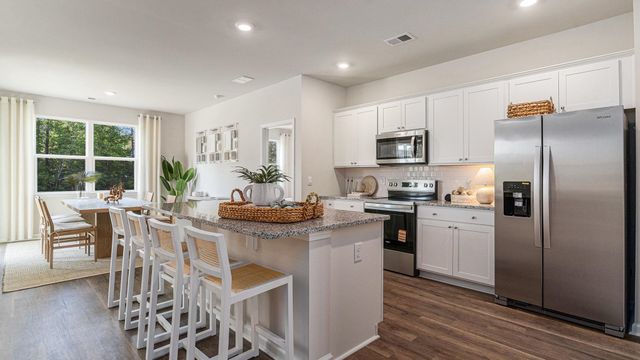 306 Hadley Springs Ave, Longs, SC 29568