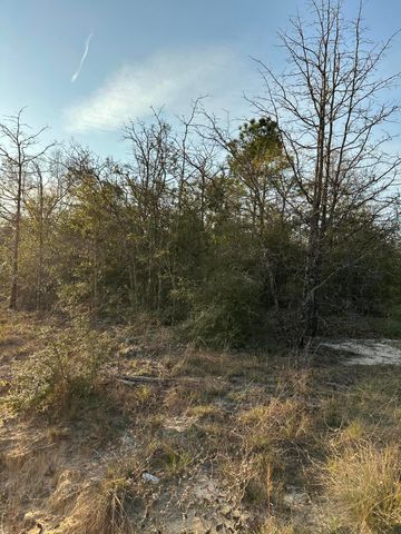 000 Deer Trl Court, Defuniak Springs, FL 32433