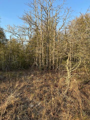 000 Deer Trl Court, Defuniak Springs, FL 32433