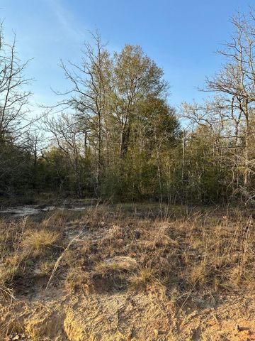 000 Deer Trl Court, Defuniak Springs, FL 32433
