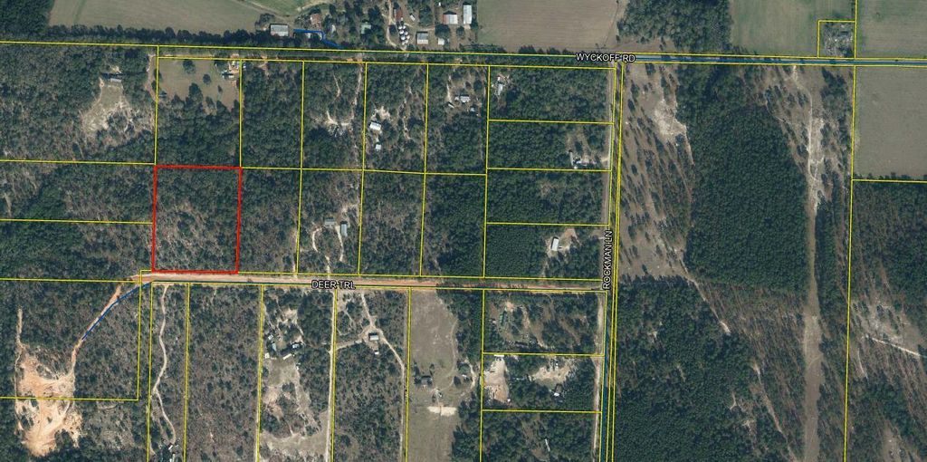 000 Deer Trl Court, Defuniak Springs, FL 32433