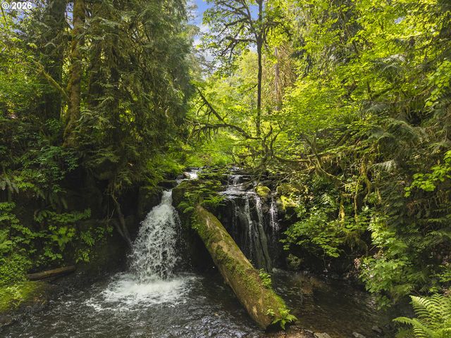 Hwy 30, Clatskanie, OR 97016