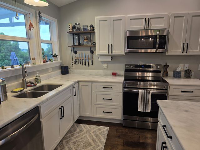 4 Lewis James Ln, Riddleton, TN 37151