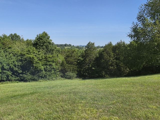 4 Lewis James Ln, Riddleton, TN 37151