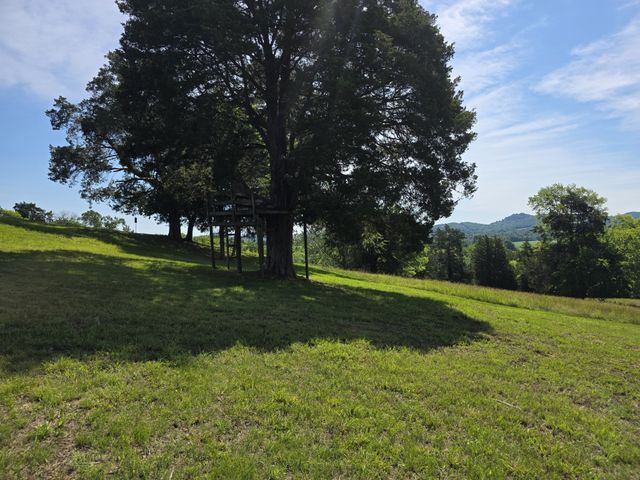 4 Lewis James Ln, Riddleton, TN 37151