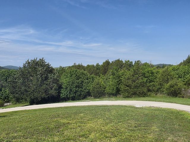 4 Lewis James Ln, Riddleton, TN 37151