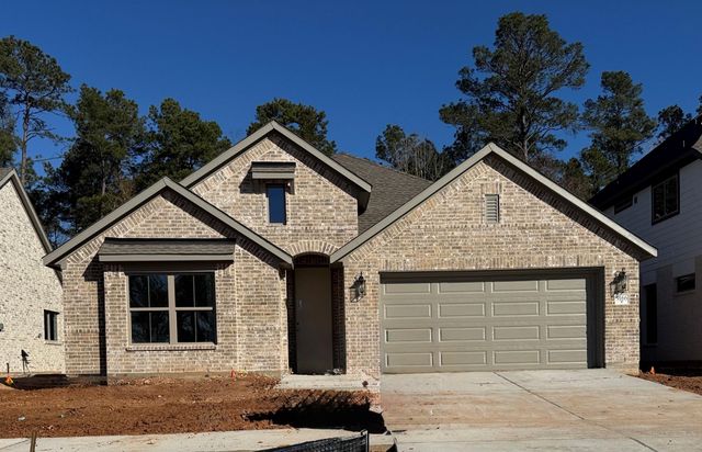 9166 Grand Jubilee Drive, Montgomery, TX 77316