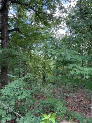 TBD Colne Lane, Bella Vista, AR 72714