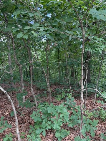 TBD Colne Lane, Bella Vista, AR 72714