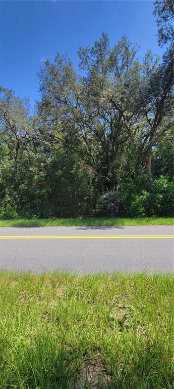 0 SW BEACH BOULEVARD, Dunnellon, FL 34431
