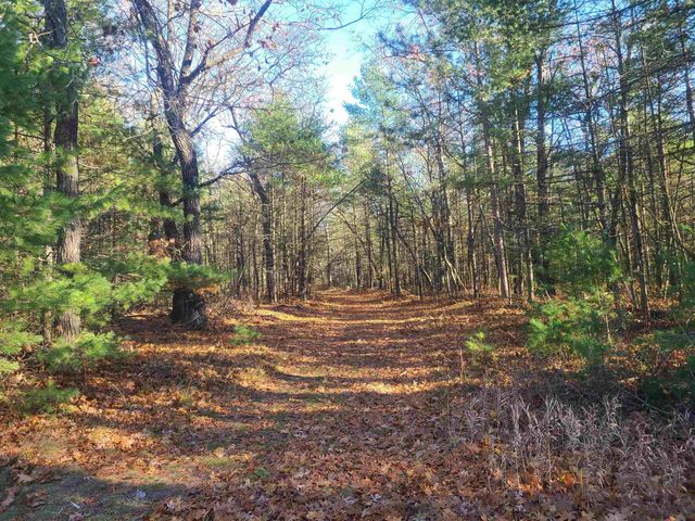 7050 Loud Drive, Oscoda, MI 48750