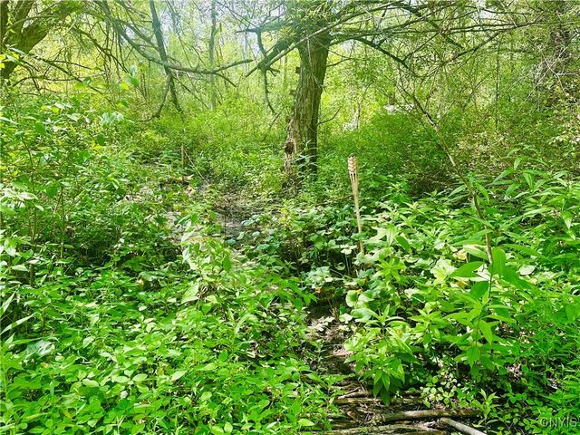 20207 Reasoner Road, Brownville, NY 13601