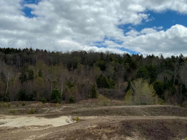 Lot 7 Bog Road, Enfield, NH 03748