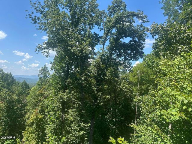 1921 Battle Top Road, Sevierville, TN 37876