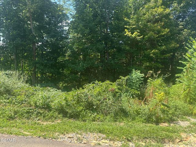 1921 Battle Top Road, Sevierville, TN 37876