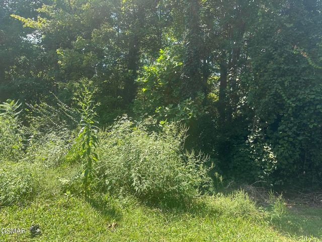 1921 Battle Top Road, Sevierville, TN 37876