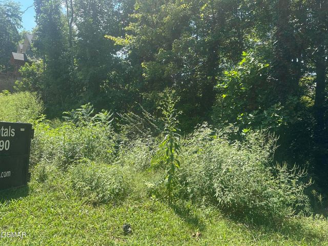 1921 Battle Top Road, Sevierville, TN 37876