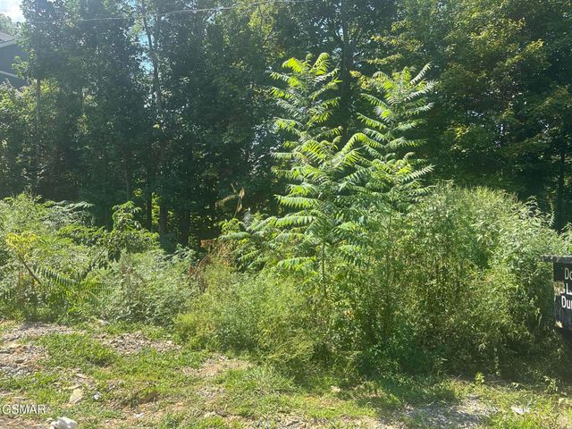 1921 Battle Top Road, Sevierville, TN 37876