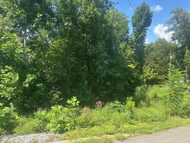 1921 Battle Top Road, Sevierville, TN 37876