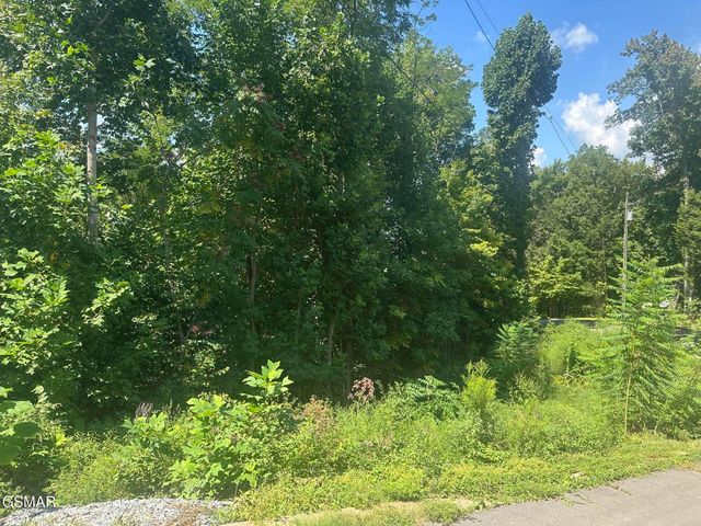 1921 Battle Top Road, Sevierville, TN 37876