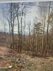 1921 Battle Top Road, Sevierville, TN 37876