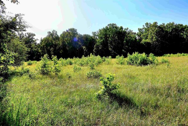 TBD COUNTY ROAD 1106, Flint, TX 75762