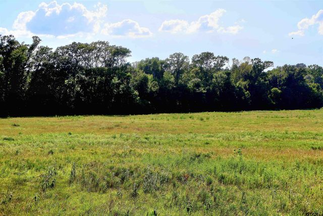 TBD COUNTY ROAD 1106, Flint, TX 75762