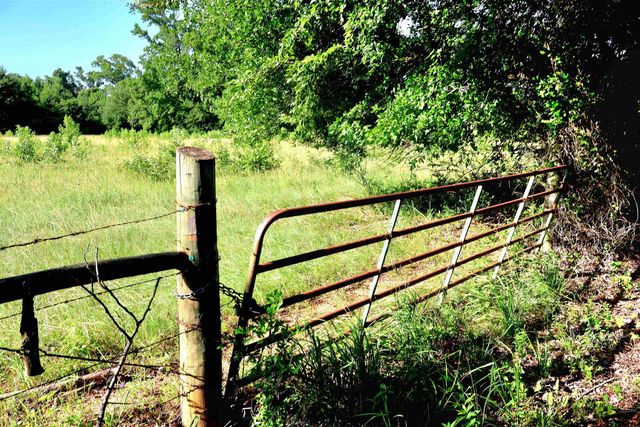 TBD COUNTY ROAD 1106, Flint, TX 75762