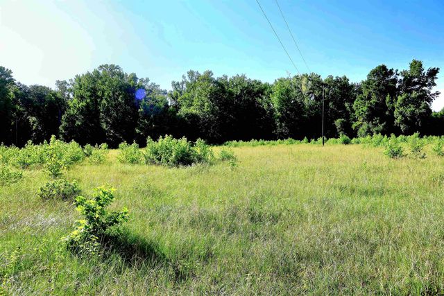 TBD COUNTY ROAD 1106, Flint, TX 75762