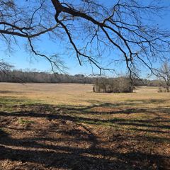 TBD COUNTY ROAD 1106, Flint, TX 75762