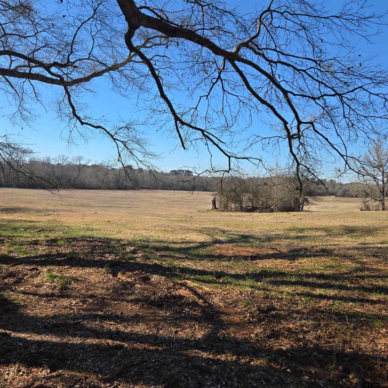 TBD COUNTY ROAD 1106, Flint, TX 75762