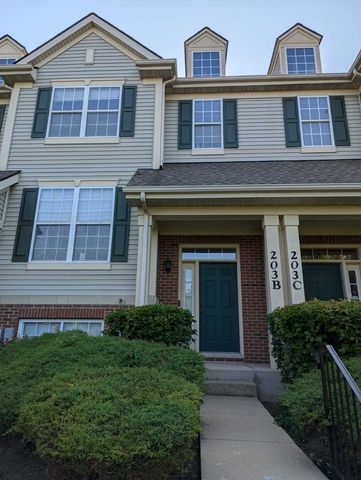 203 N Louis Street B, Mount Prospect, IL 60056