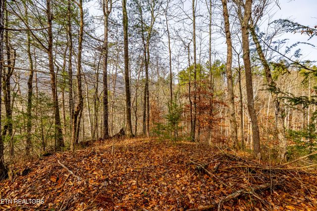 5909 Old Walland Hwy, Walland, TN 37886