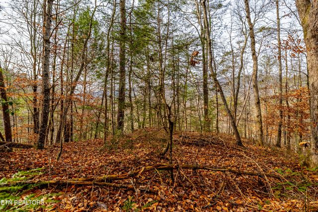 5909 Old Walland Hwy, Walland, TN 37886