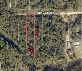 7255 ALLOY STREET, Webster, FL 33597