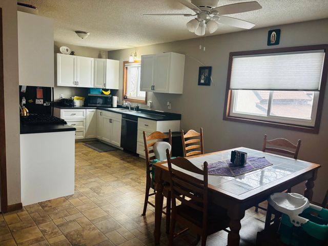 907 Pine Street, Hastings, MN 55033