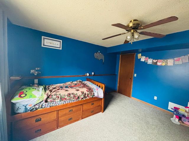 907 Pine Street, Hastings, MN 55033