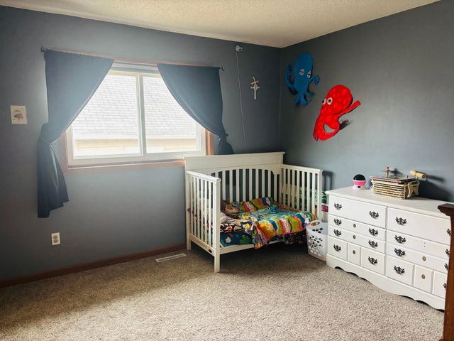 907 Pine Street, Hastings, MN 55033