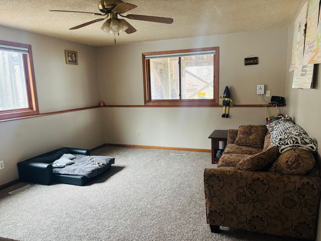 907 Pine Street, Hastings, MN 55033