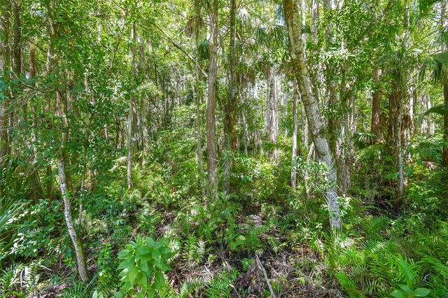 17108 CARRINGTON PARK DRIVE 701, Tampa, FL 33647