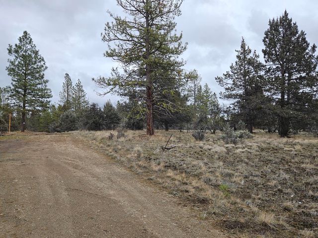 31125 Goldeneye Lane, Bonanza, OR 97623