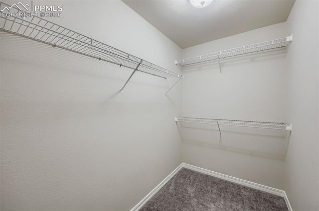 7440 Salida Grove, Colorado Springs, CO 80924